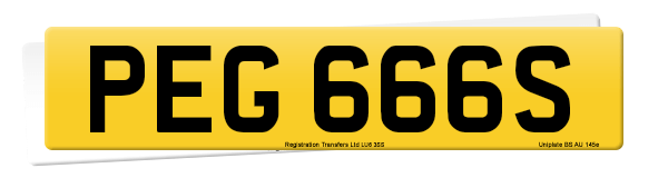 Registration number PEG 666S